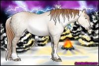 Horse Color:Gray White Spotted Gold Champagne Ice