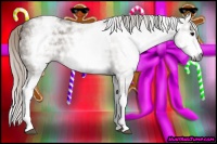 Horse Color:Gray White Spotted Silver Grullo Ice Rabicano