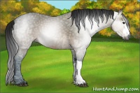 Horse Color:Gray Buckskin Ice 