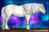 Horse Color:Gray White Spotted Silver Amber Cream Champagne Ice Dun 