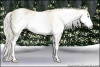 Horse Color:Gray White Spotted Silver Amber Cream Champagne Ice Dun