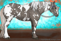 Horse Color:White Spotted Silver Black 