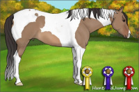 Horse Color:Bay Dun Tobiano