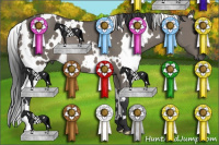 Horse Color:White Spotted Grullo 