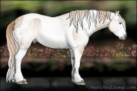 Horse Color:Gray Palomino Ice Roan Splash Tobiano 