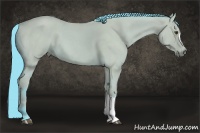 Horse Color:Watercolor Buckskin Roan 