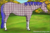 Horse Color:Watercolor Plaid  Bay 