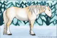 Horse Color:Gray White Spotted Palomino Roan 