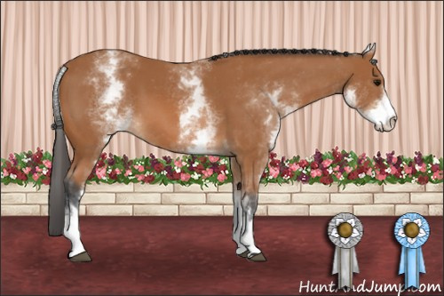 Horse Color: White Spotted Bay 