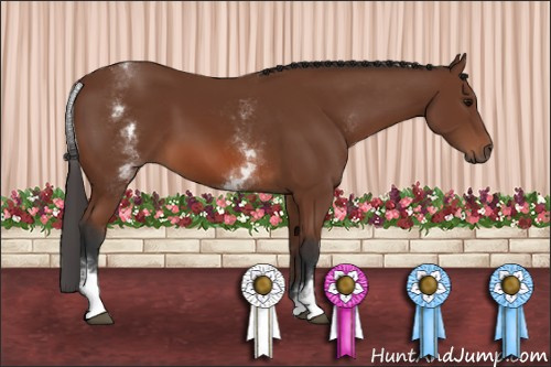 Horse Color: White Spotted Bay 