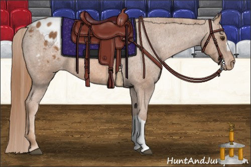 Horse Color: Chestnut Blanket 