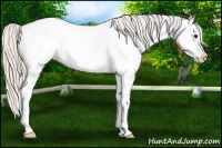 Horse Color:White Spotted Silver Bay Splash Near Fewspot 