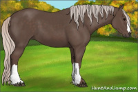 Horse Color:Silver Black 