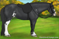 Horse Color:Black Sabino