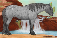 Horse Color:Blue Roan Varnish 