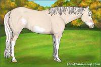 Horse Color:Silver Sable Champagne Roan Dun Splash Frame