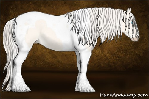 Horse Color: Cremello Dun Tobiano 