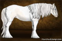Horse Color:Cremello Dun Tobiano