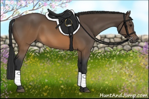 Horse Color:Brown 