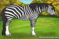 Horse Color:Smoky Black 