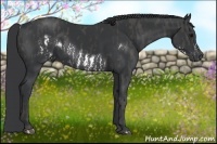 Horse Color:Black Splash Frame Brindle