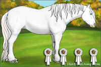 Horse Color:Chocolate Palomino Pearl Sabino 