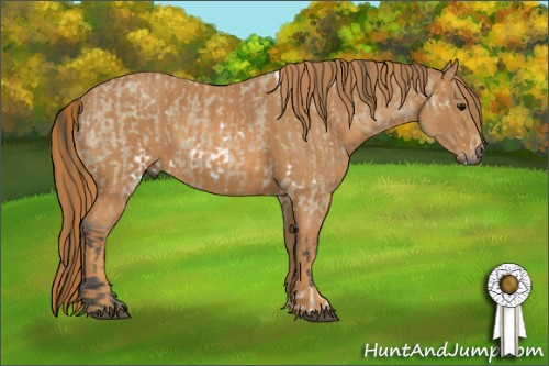 Horse Color: White Spotted Buckskin Roan  Brindle