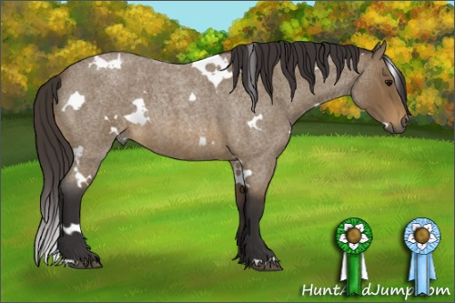 Horse Color: White Spotted Buckskin Roan 