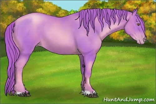 Horse Color: Watercolor Liver Chestnut Pearl 