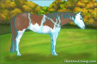 Horse Color:Thunderstruck Liver Chestnut Splash 