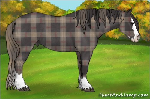 Horse Color: Plaid  Buckskin Roan Splash 