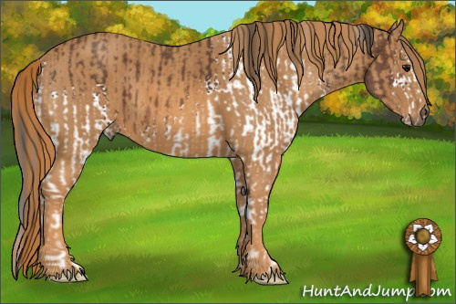 Horse Color: White Spotted Bay  Brindle