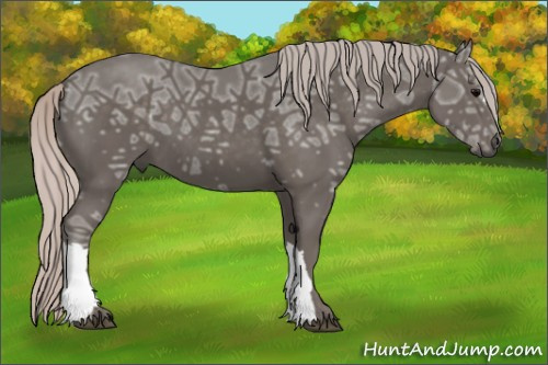 Horse Color: Silver Black Ice 