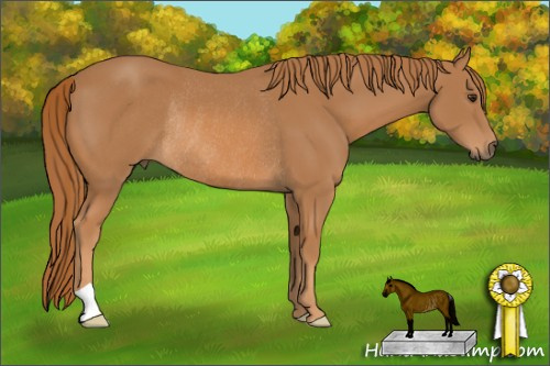 Horse Color: Chestnut Rabicano 