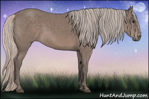 Horse Color: Silver Black 