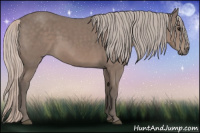 Horse Color:Silver Black 