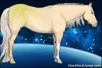 Horse Color:Silver Amber Cream Champagne Dun Rabicano