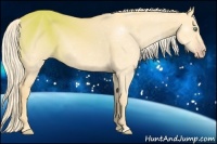 Horse Color:Gold Cream Champagne Dun