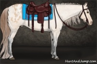 Horse Color:Bay Roan Dun Appaloosa