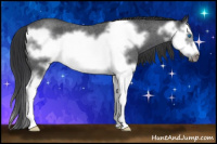 Horse Color:Blue Roan Splash Frame 