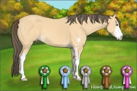 Horse Color:Amber Cream Champagne Sabino 
