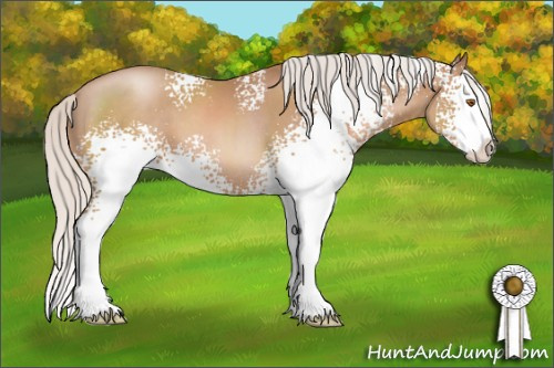 Horse Color: White Spotted Silver Black Pearl Sabino Splash 