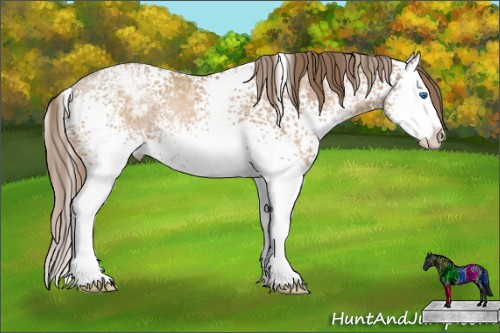 Horse Color: White Spotted Black Ice Pearl Sabino Splash Rabicano 