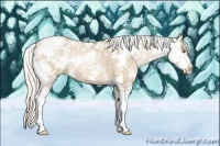 Horse Color:Silver Grullo Pearl Sabino 