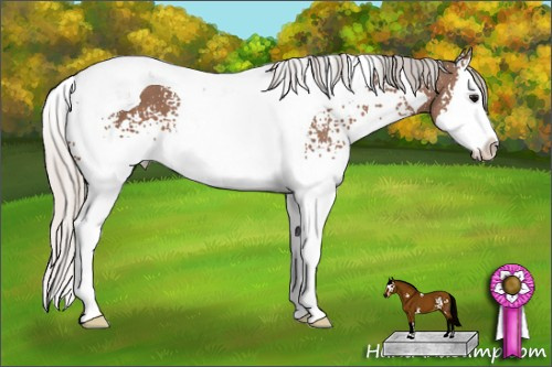 Horse Color: White Spotted Silver Black Splash Tobiano 