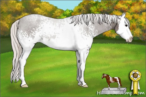 Horse Color: White Spotted Silver Black Splash 
