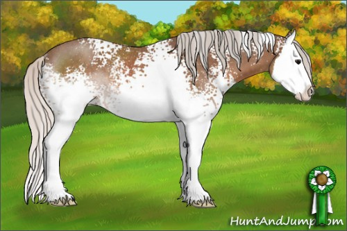Horse Color: White Spotted Silver Black Sabino Splash Rabicano 