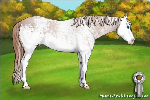 Horse Color: White Spotted Chestnut Sabino Splash 