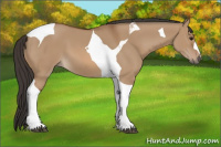 Horse Color:Bay Dun Tobiano 