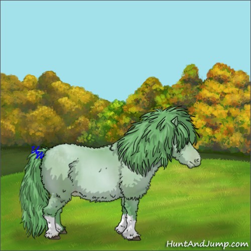 Horse Color:Watercolor Bay Pearl